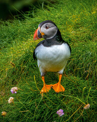 on the big stage - auf der großen Bühne