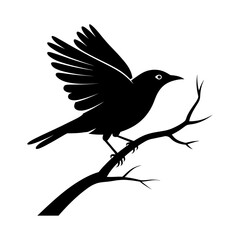 Obraz premium silhouette of a bird perched on a branch with spread wings