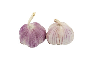 Garlic heads isolated on white background, close-up.