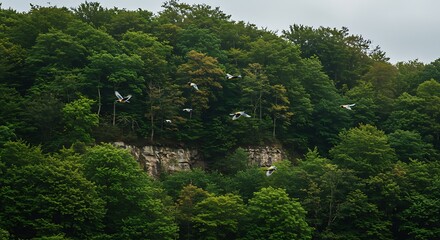 A flock of white birds soaring above a lush, verdant forest on a cloudy day.