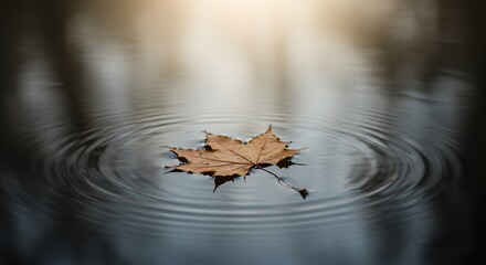 A single, fallen leaf floats peacefully on the surface of calm water, creating concentric ripples.
