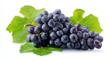Fototapeta premium Black grape cluster with leaves isolated on white background. Clipping path