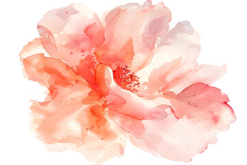Watercolor Peach Blossom Soft Flower Painting