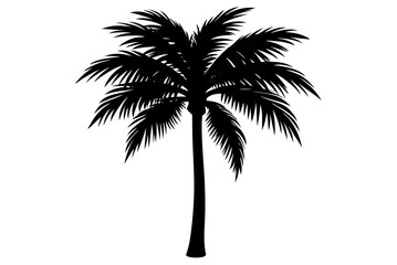 Obraz premium Lush green palm trees silhouetted against a tropical sky evoke a serene island beach paradise