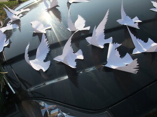 Paper doves arranged on a black shiny car hood reflecting sunlight, symbolizing peace and hope