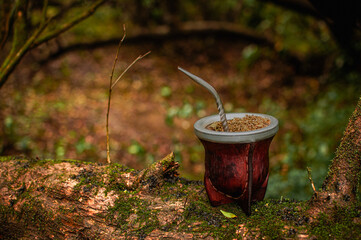 mate de porongo con yerba mate sobre un tronco de árbol verde. bebida caliente en la naturaleza.