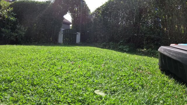 A robotic lawn mower cutting green lawn during a sunny day. The machine is scheduled to automatically cut daily and efficiently trims and maintains backyards	