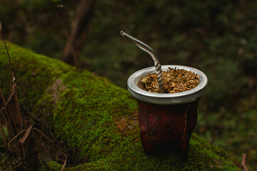 mate de porongo con yerba mate sobre un tronco de árbol verde. bebida caliente en la naturaleza.