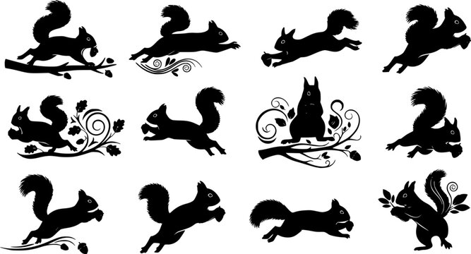 Dynamic Running Squirrel Silhouette Vector Set with Multiple Action Poses and Decorative Elements
