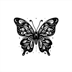 Intricate black and white butterfly with ornate wing patterns
