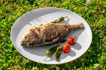 freshly grilled dorada