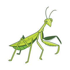 Green praying mantis insect with large eyes and spiky forelegs nature