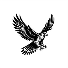 Obraz premium Black and white illustration of a falcon in flight