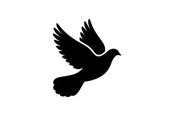 Fototapeta premium Dove in Flight Silhouette bird flying