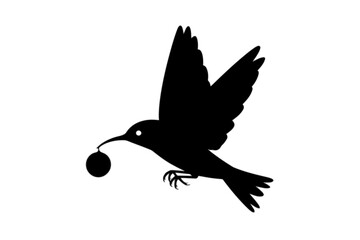 Obraz premium Hummingbird carrying a round object flying