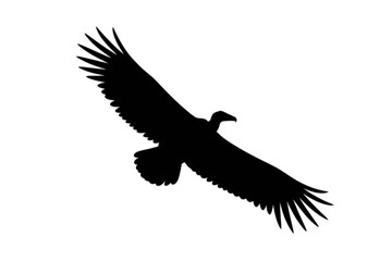 Majestic Condor Soaring Through Sky bird silhouette