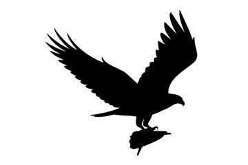 Obraz premium Majestic Eagle Grasping Prey bird of prey silhouette