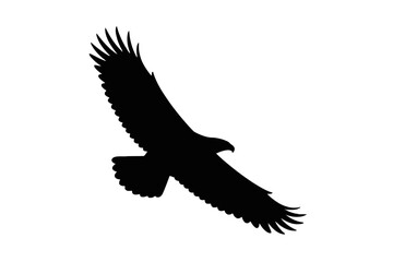 Naklejka premium Majestic Eagle Soaring Through the Sky bird silhouette