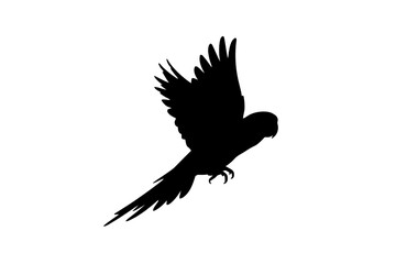 Obraz premium Silhouette of a man playing a guitar musician