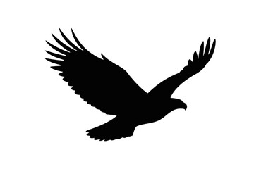 Soaring Eagle Silhouette bird flying