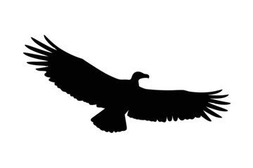 Naklejka premium Soaring Eagle Silhouette bird flying