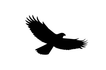 Soaring Hawk Silhouette bird flying