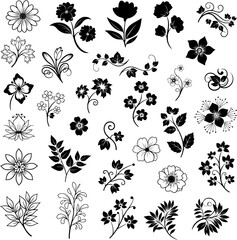 Set of Black Floral and Botanical Elements