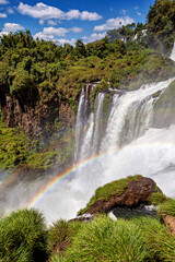 Fototapeta premium The Iguazu Waterfalls between Argentina and Brazil