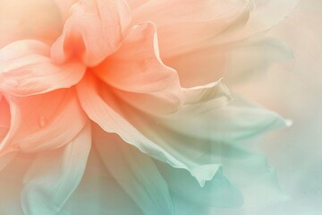 Fototapeta premium pink and white background