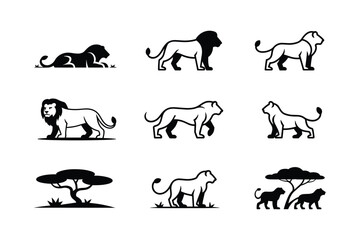 Fototapeta premium Majestic lions and acacia trees in silhouette lioness