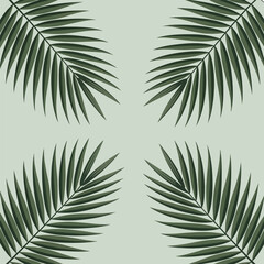 Palm Fronds Arrangement on Light Green Background leaf