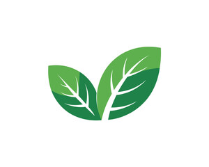 green leaf icon