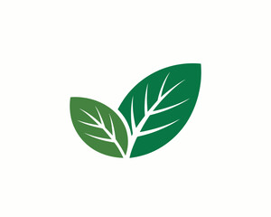 green plant isolated on white background