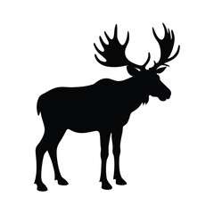  Moose silhouette vector illustration, wild animal, black and white