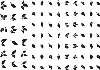 leaves and leaves in various shapes