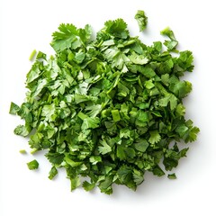 Fototapeta premium Freshly chopped cilantro leaves on a white background, showcasing vibrant green color and texture.