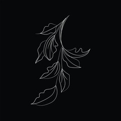 black and white background