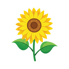 sunflower clipart vector with bright yellow petals