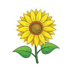 sunflower clipart vector with bright yellow petals