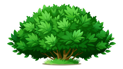 Vector art of a lush green bush with dense foliage and visible branches, isolated on a white background
