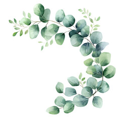 Watercolor hand-painted spring foliage frame with eucalyptus leaves painting illustration isolated on a white background, stinging nettle leaf illustration, AI painting design © Zizak