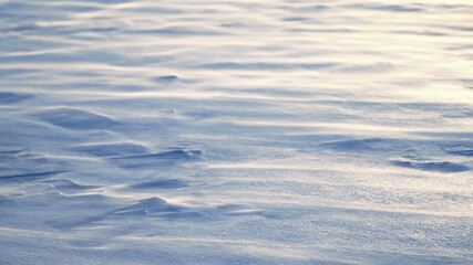 At sunset, the wind blows snow across the snow cover. Flying snow on a snowy surface, cold, low temperature. - Powered by Adobe