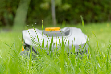 An automated robotic lawnmower drives through tall, lush grass in the garden. The focus is on the...