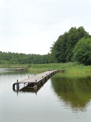 Wooden Pier on a Calm Lake with Forest Background