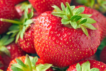 red ripe strawberry close up with selective focus.
