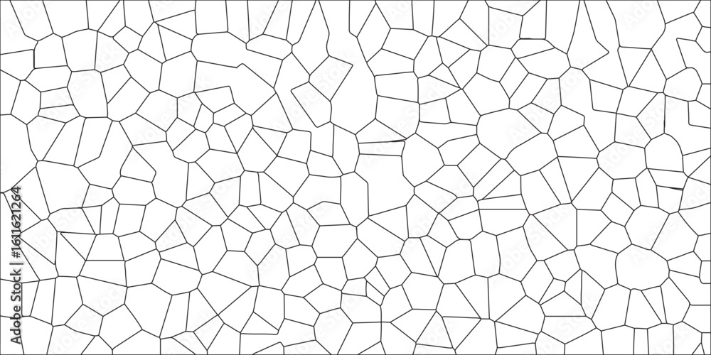 Poster a complex digital fractal pattern and interwoven algorithmic details. black & white broken quartz st