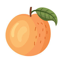 Vector peach slices in flat modern illustration