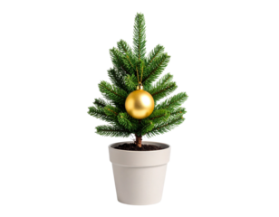 Mini Christmas Tree in Pot Decorated with Single Gold Ornament, Tabletop Style, White Background