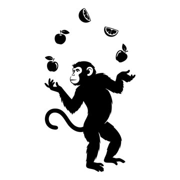  Black Monkey Silhouette Vector Juggling Fruit - Performance Primate Animal Icon