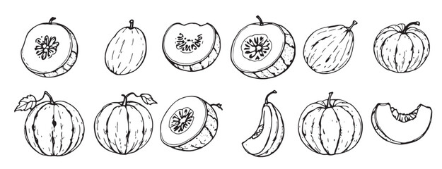 set of different fruits and vegetables drawn in black
